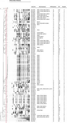 High Prevalence of Metallo-β-Lactamase-Producing Enterobacter cloacae From Three Tertiary Hospitals in China